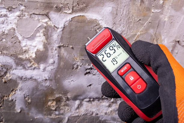 Crawl Space Mold Removal in Saranap, CA